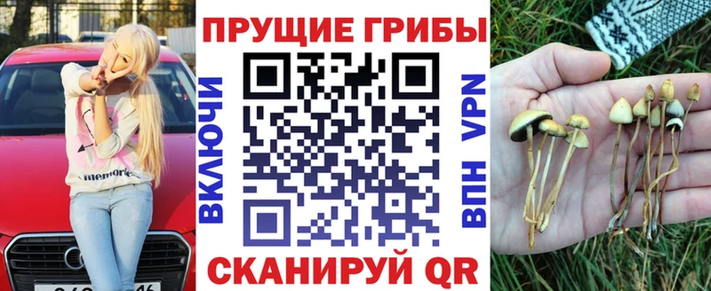 ОМГ ОМГ ссылка  Сысерть  Галлюциногенные грибы GOLDEN TEACHER  купить наркотик 